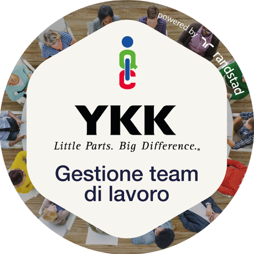 Gestione team di lavoro